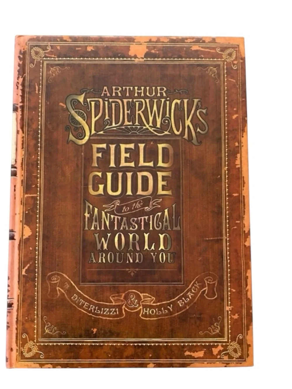 Arthur Spiderwick's Field Guide Book to the Fantastical World Around You